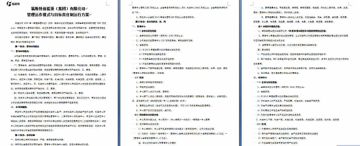 《福斯特集團管理運作模式與目標(biāo)責(zé)任制運行方案》
