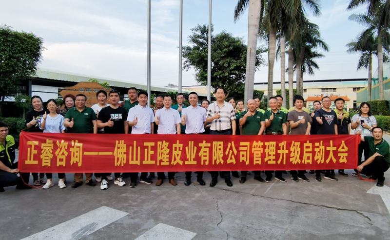 助力皮革行業(yè)再樹(shù)標(biāo)桿——正隆皮業(yè)全面管理升級(jí)項(xiàng)目啟動(dòng)！