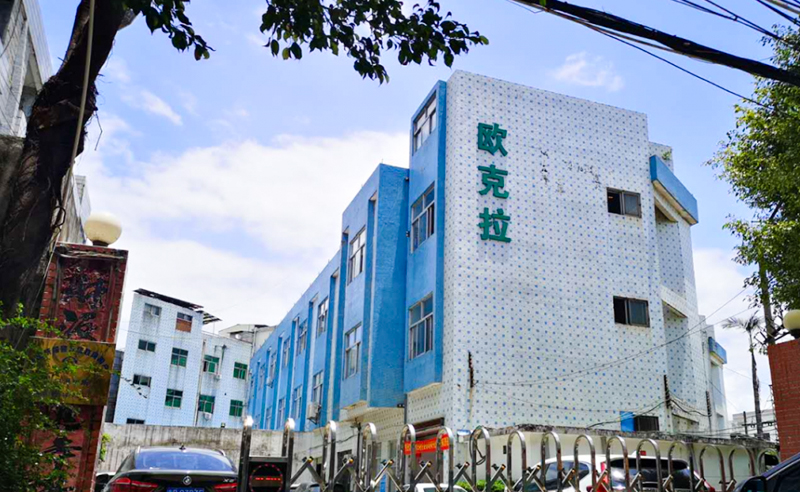 2021年東莞市歐克拉電子科技有限公司全面升級管理項目圓滿成功！