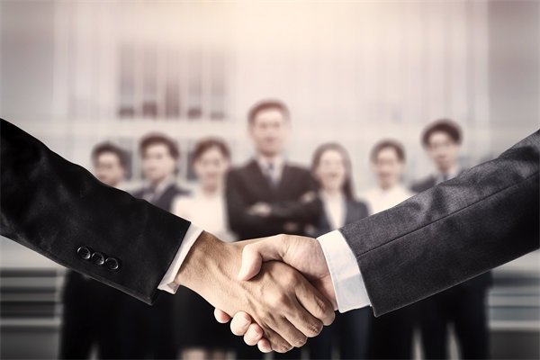 集團(tuán)管控中的戰(zhàn)略協(xié)同，推動企業(yè)持續(xù)增長與發(fā)展