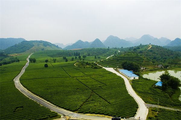 清遠(yuǎn)年度經(jīng)營計劃咨詢公司如何助企業(yè)精準(zhǔn)規(guī)劃？