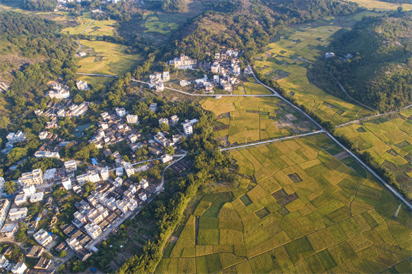 肇慶預(yù)算管理咨詢公司如何為企業(yè)構(gòu)建精細(xì)化的預(yù)算體系？