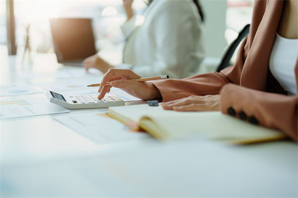 預算管理軟件如何助力企業(yè)實現預算的智能化和自動化？