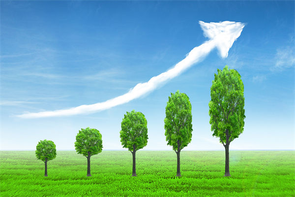 植樹就是植未來，對企業(yè)的戰(zhàn)略規(guī)劃有哪些啟示？