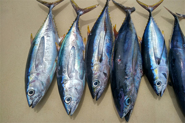商務(wù)部：將幫助外貿(mào)企業(yè)擴(kuò)寬內(nèi)銷(xiāo)渠道，政策解讀！