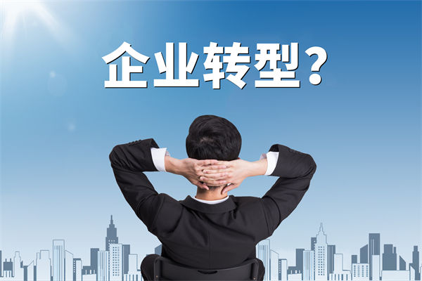 企業(yè)轉(zhuǎn)型無方向，數(shù)智化咨詢公司能否指引明路？