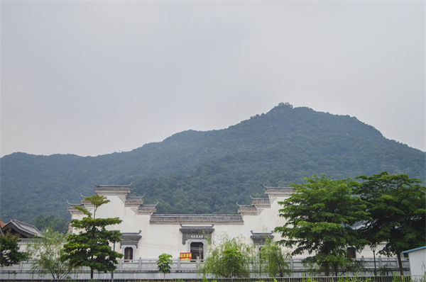 子公司各自為戰(zhàn)內(nèi)耗大，佛山集團(tuán)管控咨詢(xún)公司有何整合之道？