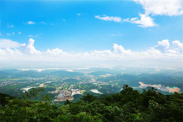 企業(yè)戰(zhàn)略飄在半空落地難，惠州戰(zhàn)略咨詢公司能錨定方向嗎？