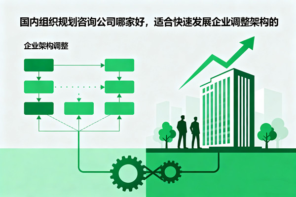 國內(nèi)組織規(guī)劃咨詢公司哪家好，適合快速發(fā)展企業(yè)調(diào)整架構(gòu)的