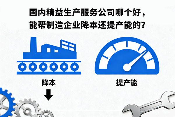 國內(nèi)精益生產(chǎn)服務(wù)公司哪個好，能幫制造企業(yè)降本還提產(chǎn)能的？