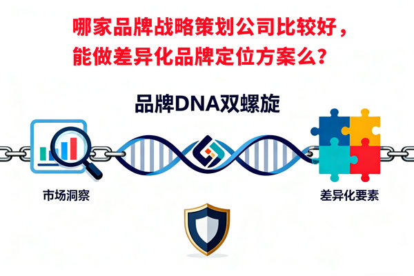 哪家品牌戰(zhàn)略策劃公司比較好，能做差異化品牌定位方案么？