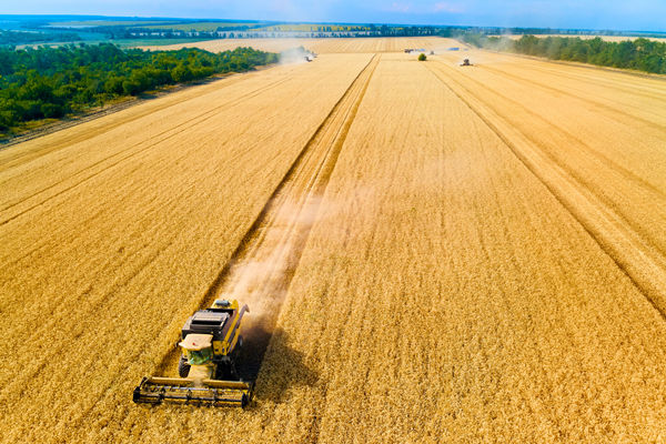 農(nóng)業(yè)行業(yè)供應鏈管理咨詢公司推薦，能解農(nóng)資采購成本高問題嗎？